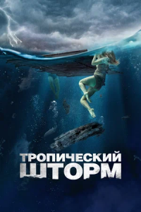 Тропический шторм (2023)